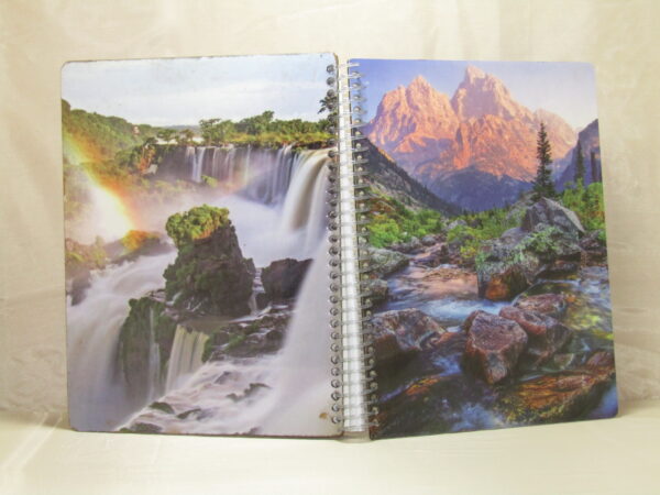 Cuaderno Profesional